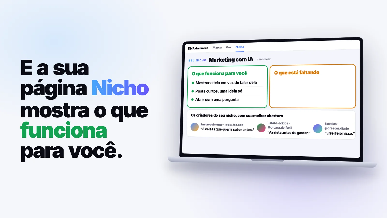 A página Nicho